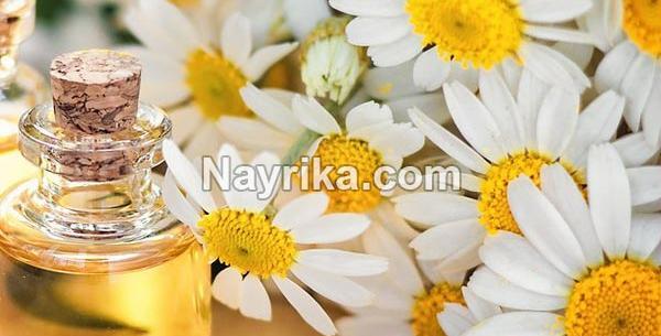 عکس چای خشک بابونه