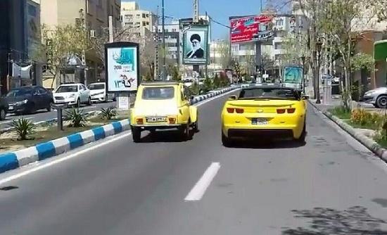 عکس ژیان زرد