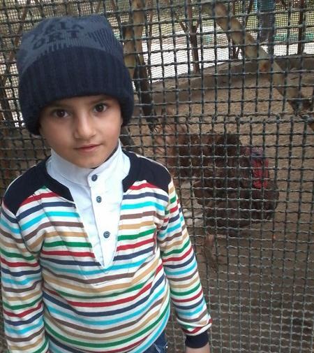 عکس امیر محمد رستمی