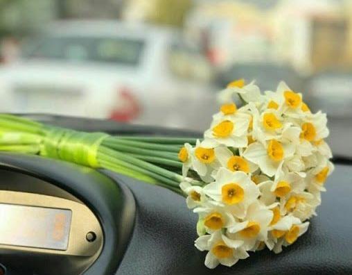 عکس نوشته ی گل نرگس