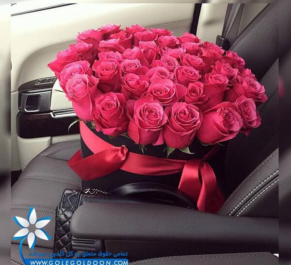 عکس گل رز تو ماشین