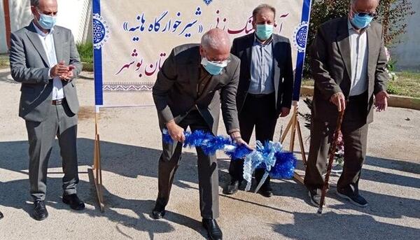 عکس هانیه عباسی