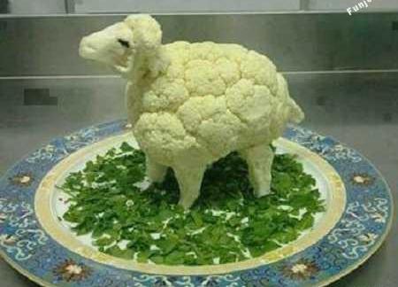 عکس های جالب و خنده دار جدید با موضوعات مختلف