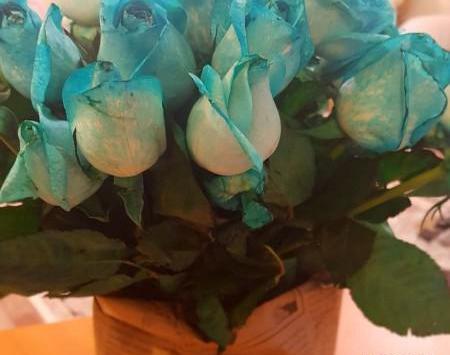 عکس دسته گل رز آبی و قرمز