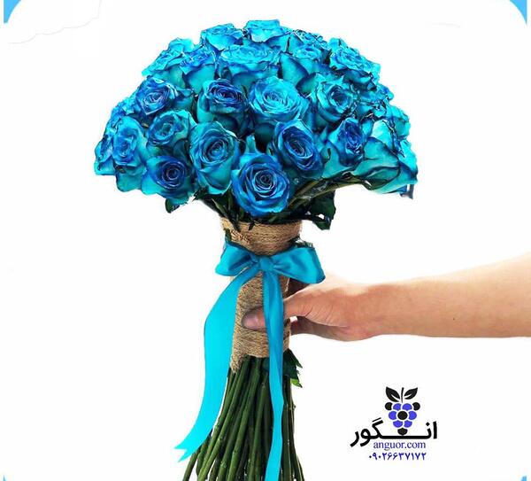 عکس دسته گل رز آبی و قرمز
