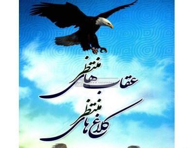 عکس عقاب و کلاغ
