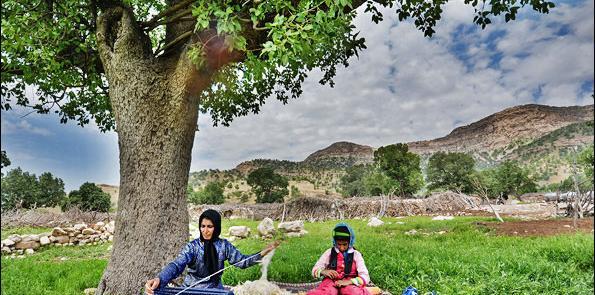 عکس طبیعت زیبای روستایی
