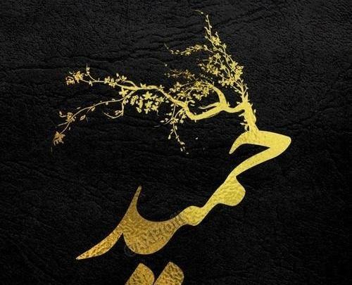 عکس حمید طلایی
