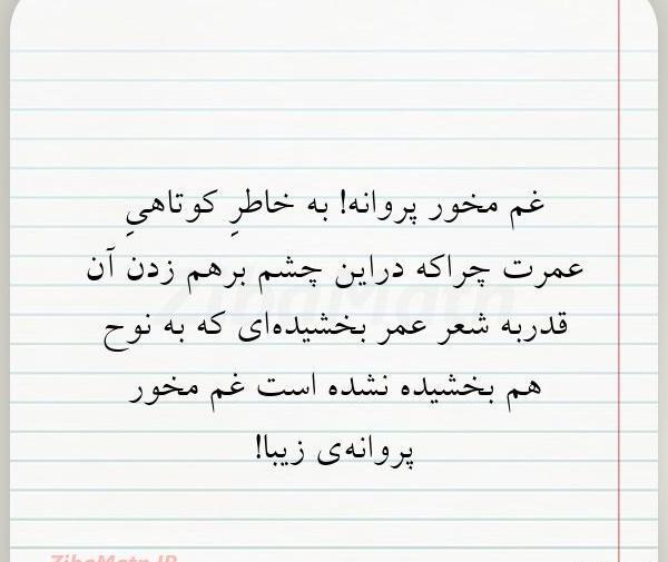 عکس نوشته شعر پروانه