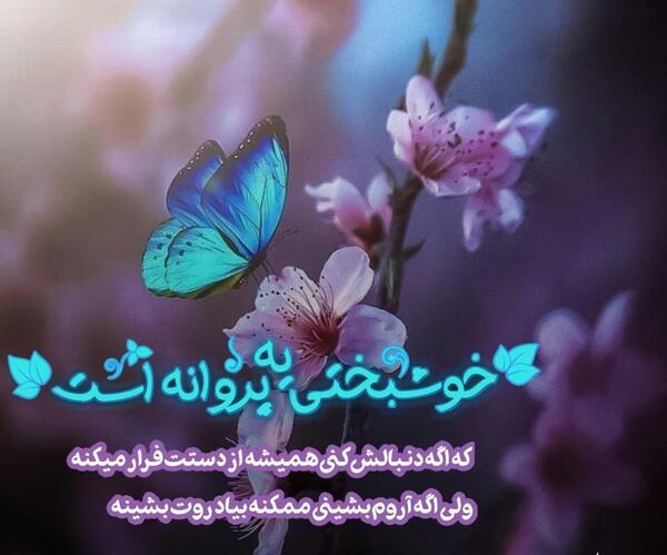 عکس نوشته شعر پروانه