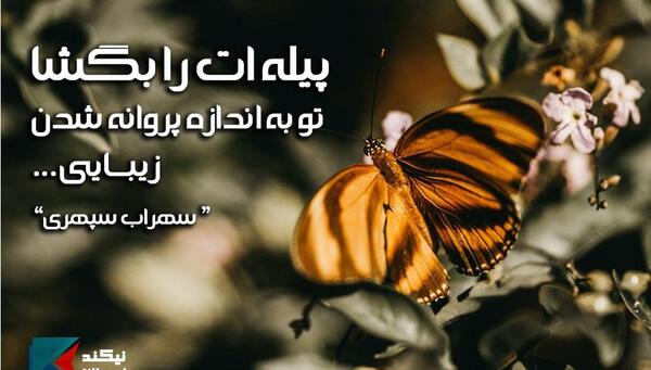 عکس نوشته شعر پروانه