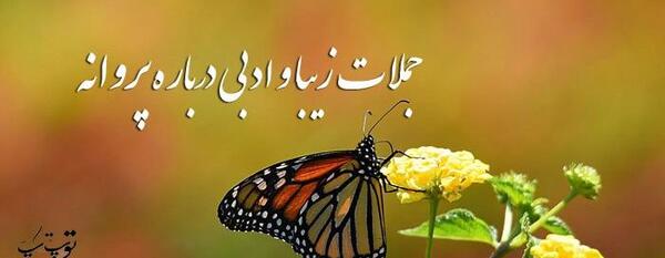 عکس نوشته شعر پروانه