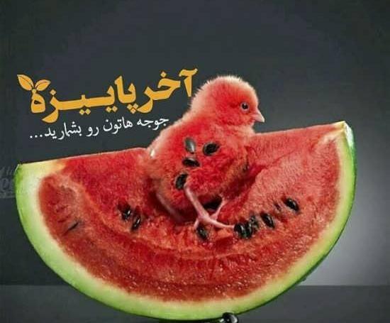 عکس های جالب یلدا