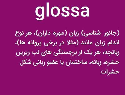 عکس نوشته اسم گلسا