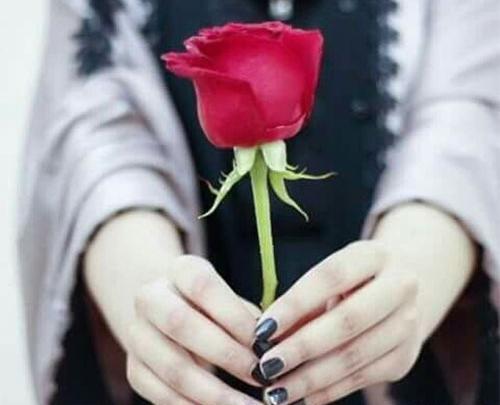 عکس دختر برای پروفایل با گل