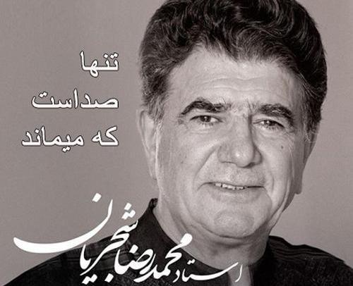 عکس نوشته مرغ سحر شجریان