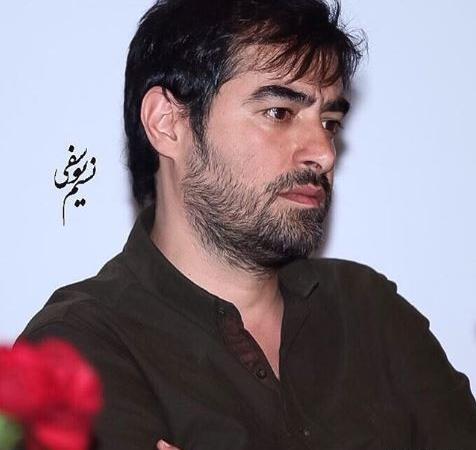 عکس شهاب قنبری