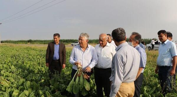 عکس همسر یونس ژائله