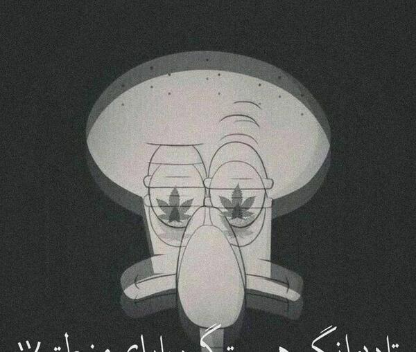 عکس غمگین اختاپوس