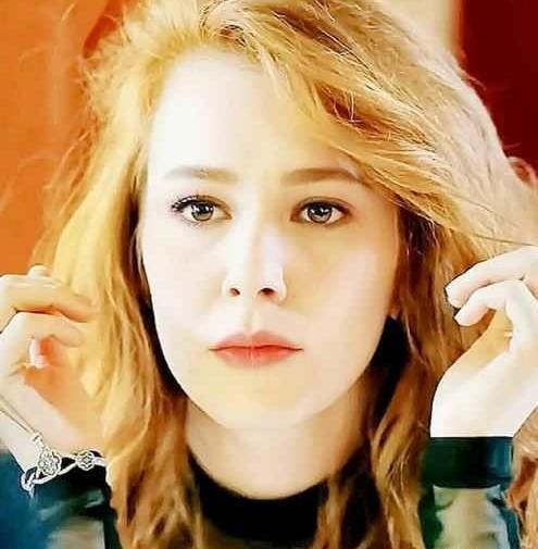عکس های الچین سانگو در عشق اجاره ای