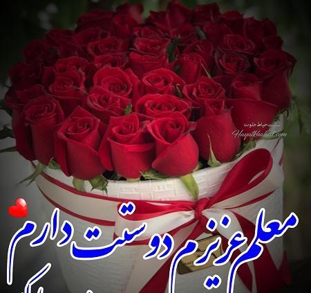 عکس تولدت مبارک معلم عزیزم
