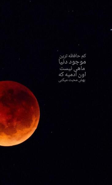 غمگین ترین عکس دنیا بدون متن