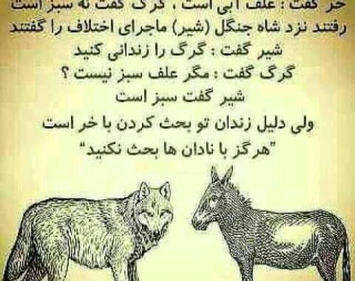 عکس ضرب المثل های زیبا