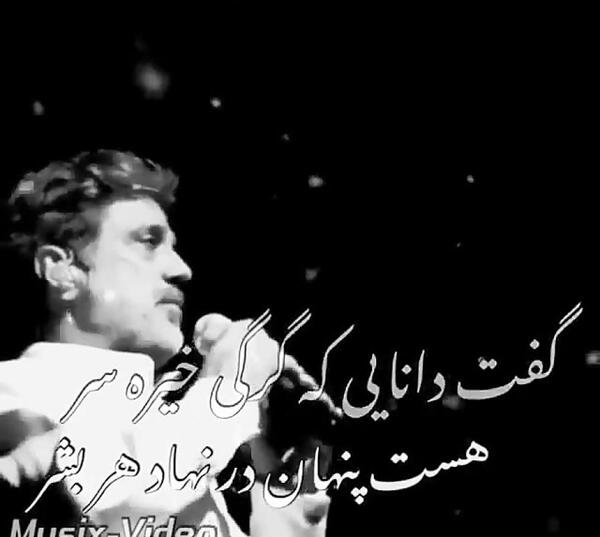 عکس داریوش خواننده با متن