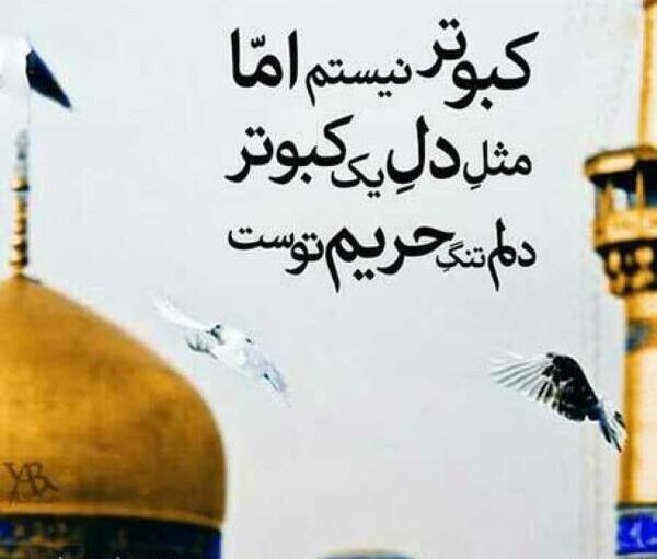 عکس دل شکسته در حرم امام رضا