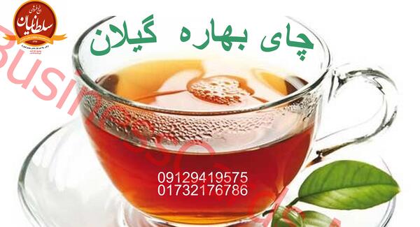 عکس چای گیلانی