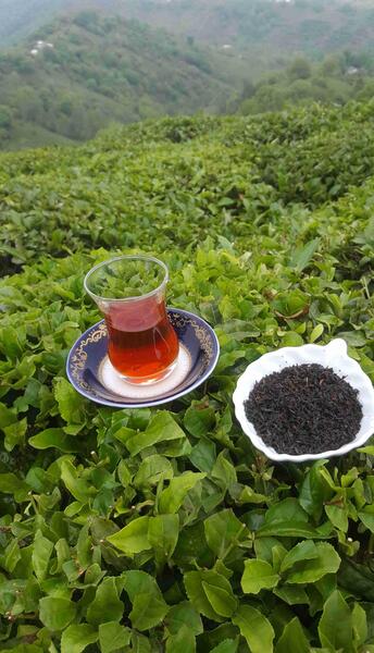 عکس چای گیلانی