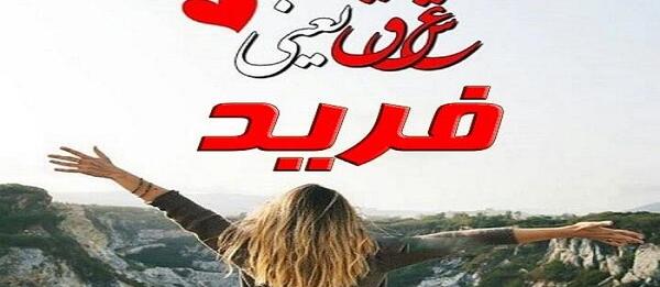 عکس شایان عشقی