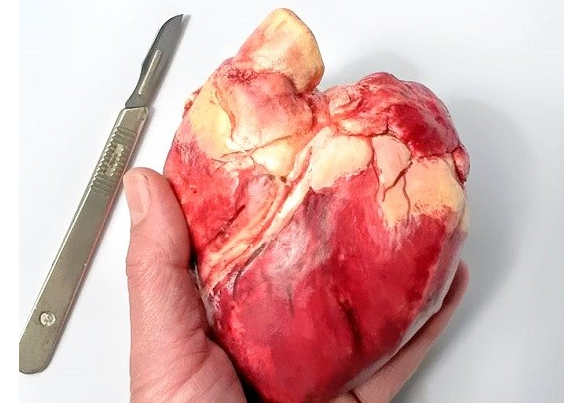 عکس ترسناک قلب