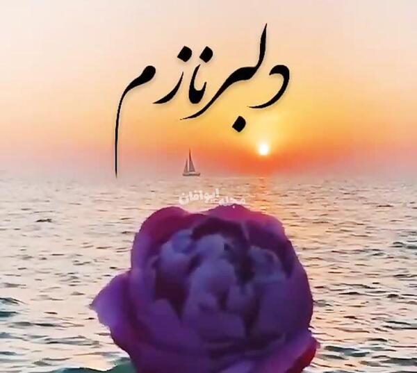 عکس نوشته دلبر نازم