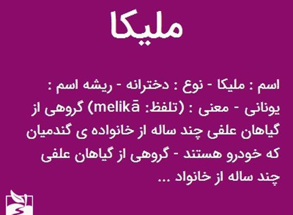 عکس نوشته به اسم مائده