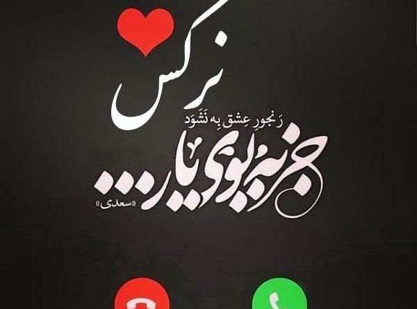 عکس استیکر نرگس