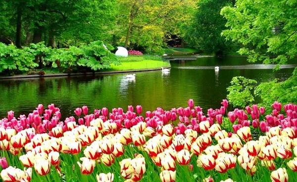 عکس طبیعت خیلی زیبا برای پروفایل