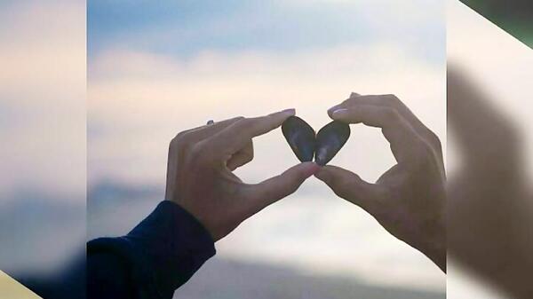 عکس امید همایی