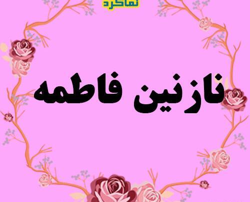 فیلم عکس نوشته نازنین