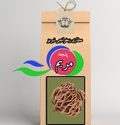 عکس گل پنجه مریم