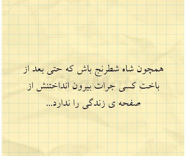 عکس شاه شطرنج برای پروفایل