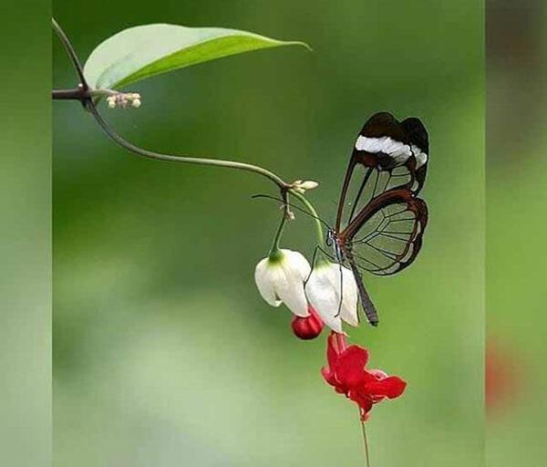 عکس یک طبیعت زیبا