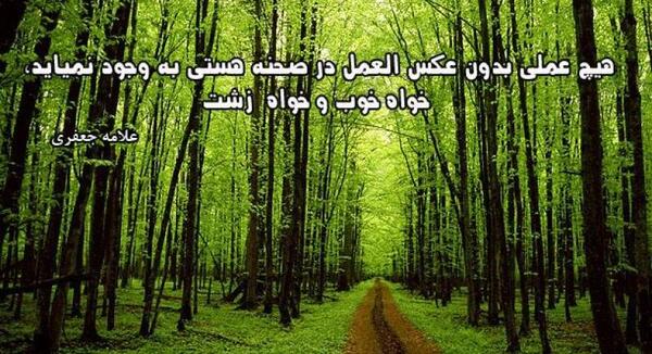ضرب المثل عمل و عکس العمل