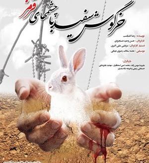 عکس خرگوش قرمز