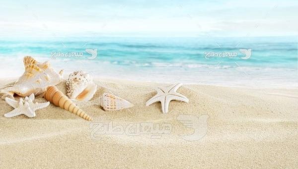 عکس صدف برای پروفایل