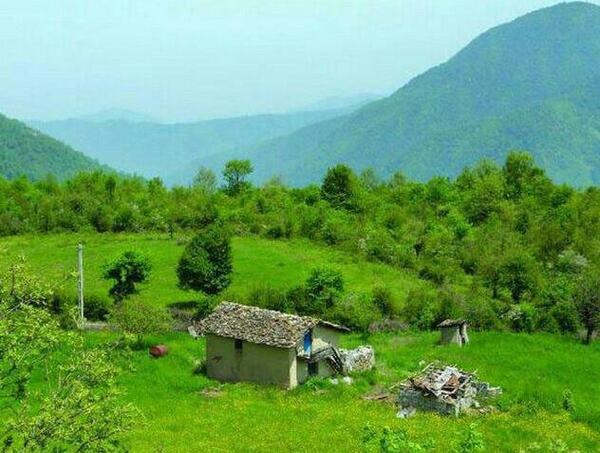 عکسهای زیبا از طبیعت سرسبز