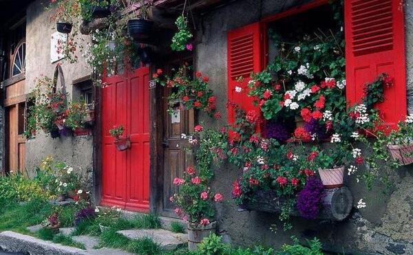 عکسهای زیبا از طبیعت سرسبز