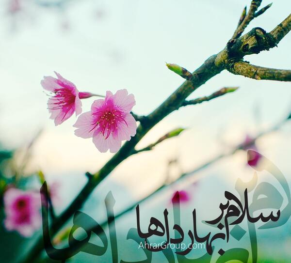 عکس نوشته بهار امام زمان