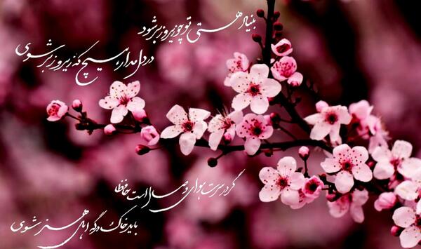 عکس نوشته بهار امام زمان