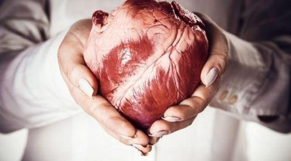 عکس جراحی قلب انسان